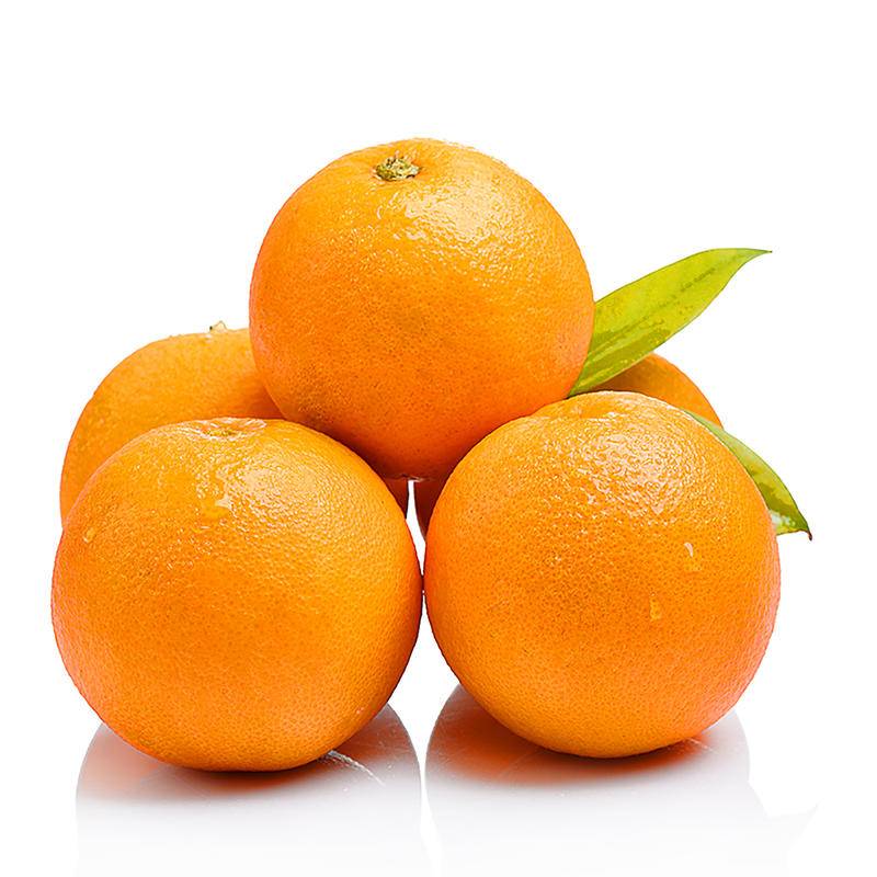 脐橙甜橙子新鲜应季水果